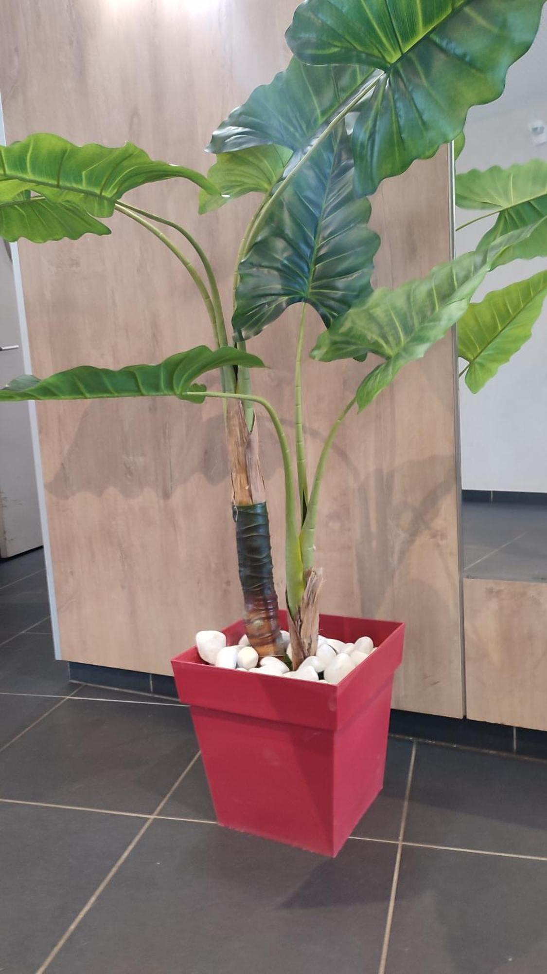 Escal'home Design Au Pied De L'aeroport, Parkings Appartement